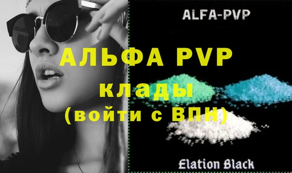 тгк Инсар