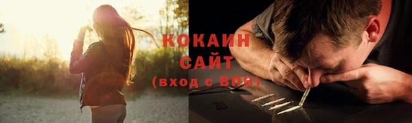 тгк Инсар