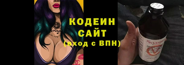 тгк Инсар