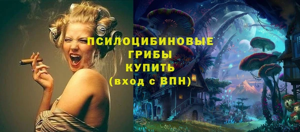 ПСИЛОЦИБИНОВЫЕ ГРИБЫ Россошь