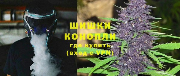 тгк Инсар