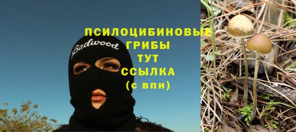 прущий лед Иннополис