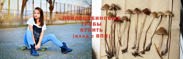 ALPHA PVP Зеленодольск