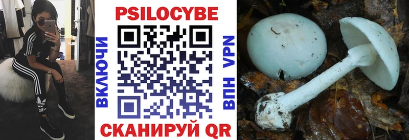 Купить закладки  Вытегра  Псилоцибиновые грибы прущие грибы 