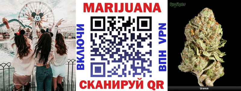 Купить закладки  Вытегра  Шишки марихуана White Widow 